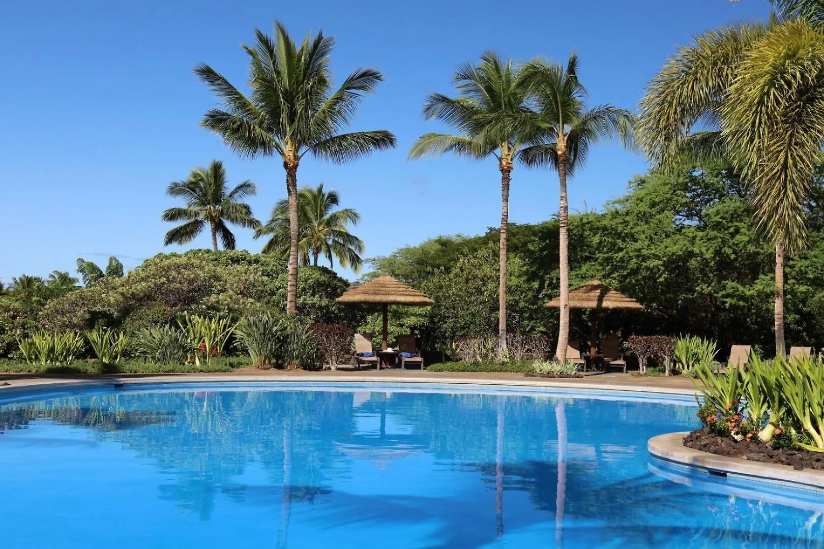 Dreams Come True Dreamlike 3Br Kamilo Home With Amazing View And Pool 와이콜로아 빌리지 펜션