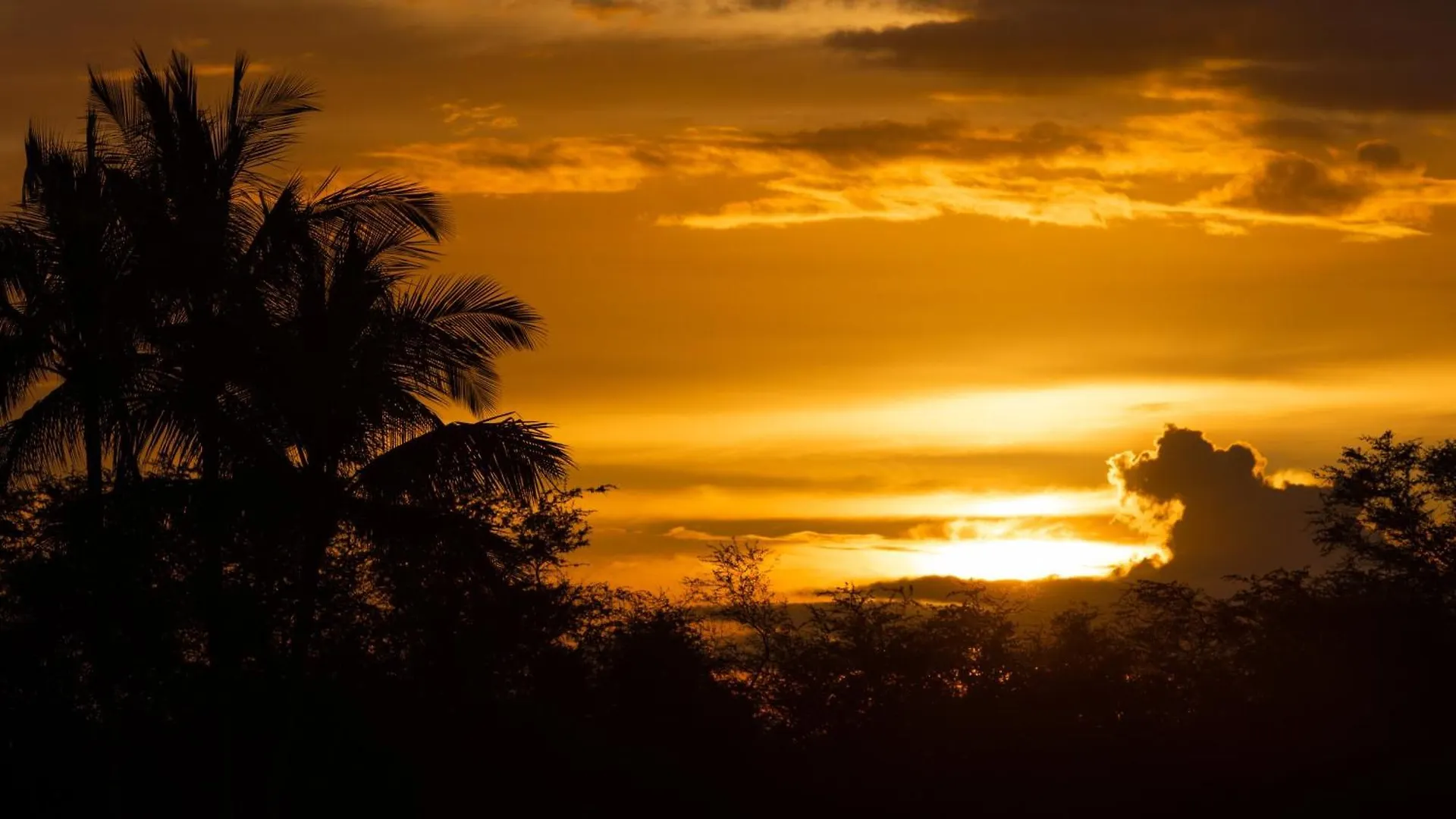Vakantiehuis Dreams Come True Dreamlike 3Br Kamilo Home With Amazing View And Pool Waikoloa Verenigde Staten