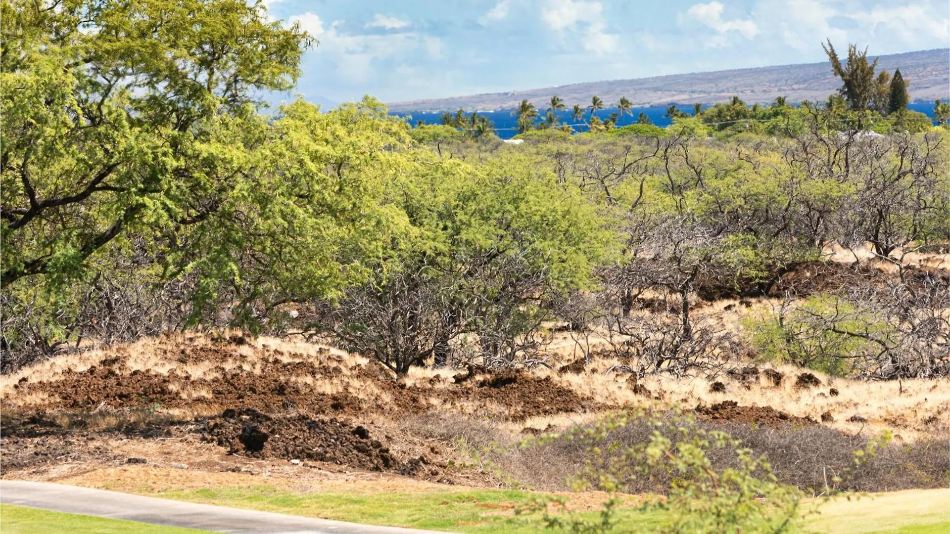 Dreams Come True Dreamlike 3Br Kamilo Home With Amazing View And Pool Waikoloa 0*,