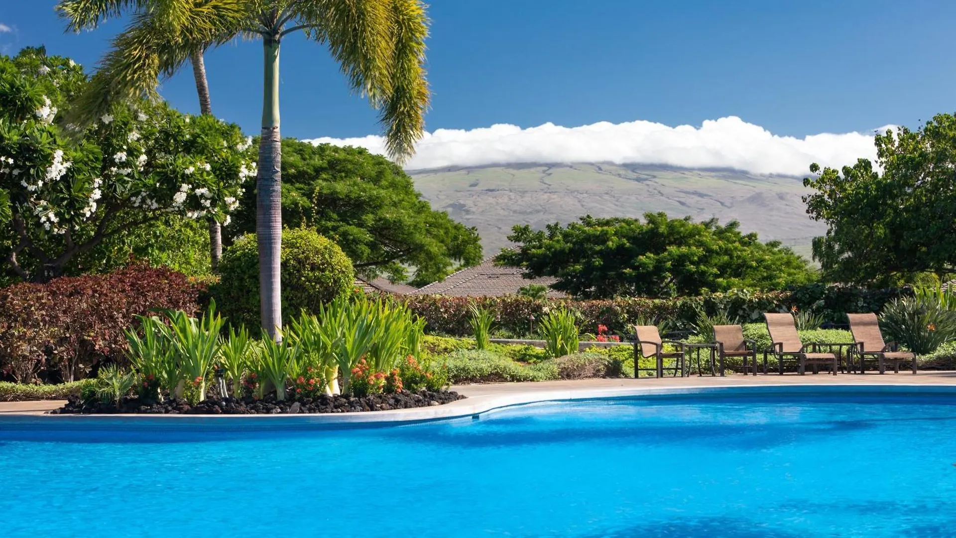 Dreams Come True Dreamlike 3Br Kamilo Home With Amazing View And Pool Waikoloa Vakantiehuis