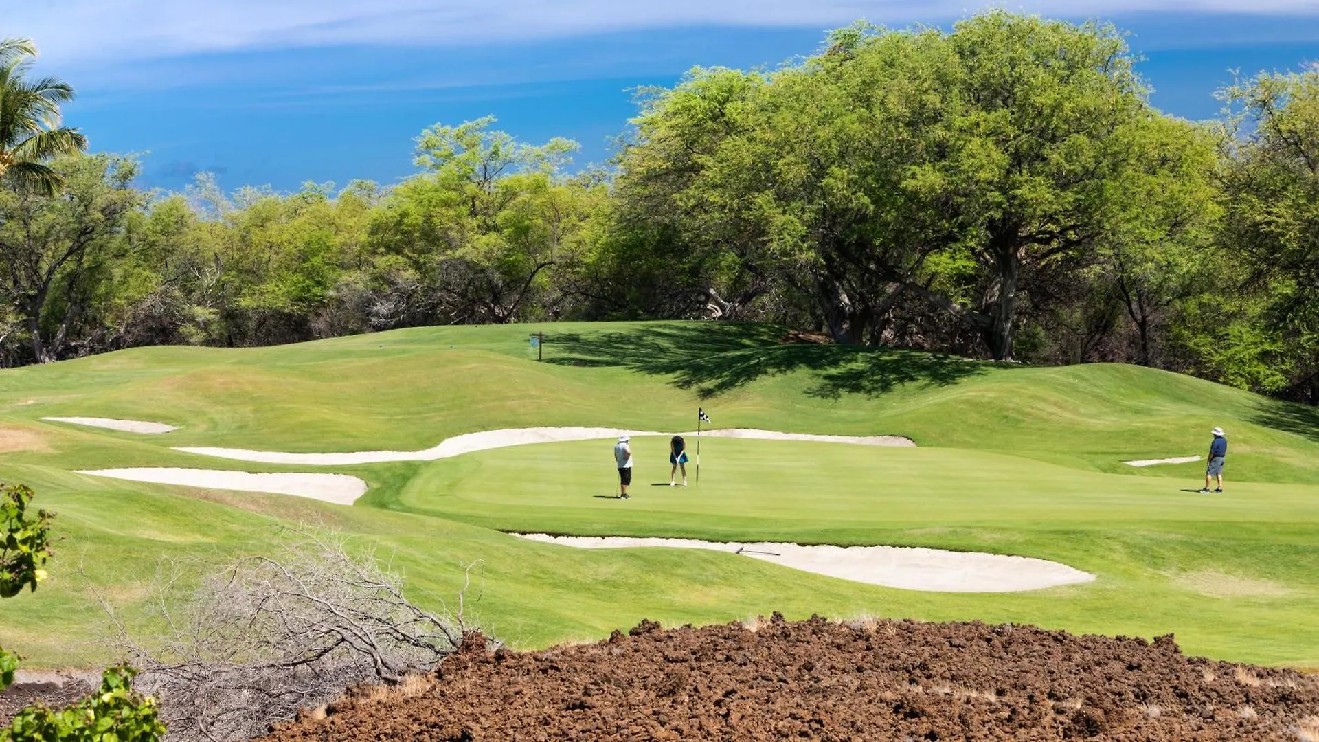Dreams Come True Dreamlike 3Br Kamilo Home With Amazing View And Pool Waikoloa